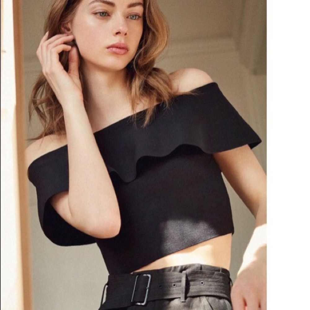 Aritzia Babaton Marek Knit Top